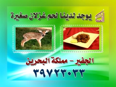 Almaha TV